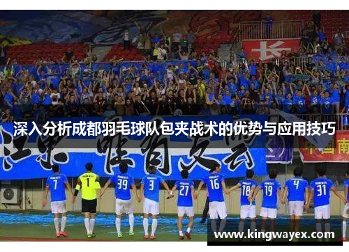 深入分析成都羽毛球队包夹战术的优势与应用技巧