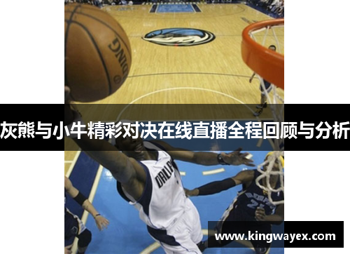 灰熊与小牛精彩对决在线直播全程回顾与分析